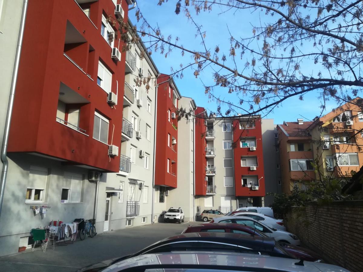 Paris Apartment -Free Private Parking نوفي ساد المظهر الخارجي الصورة